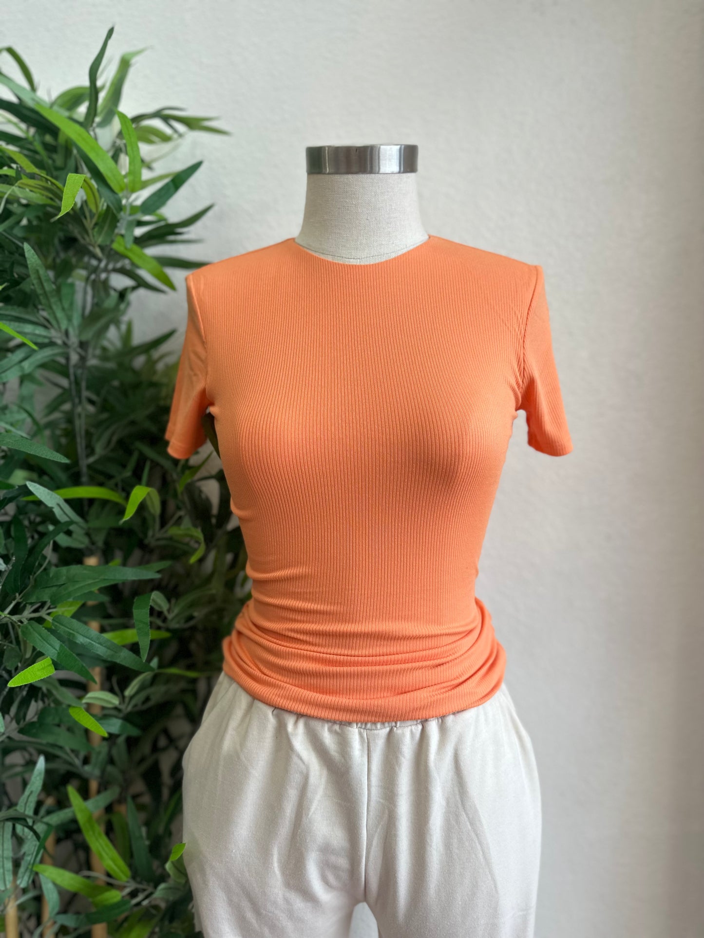 Sassy Top(4 colors)