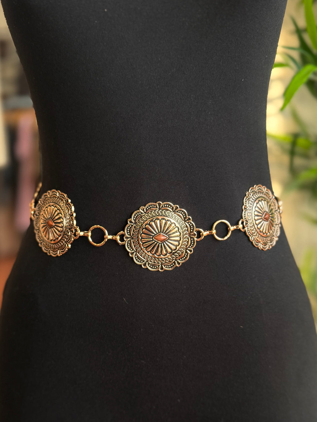 Desert Honey Belt