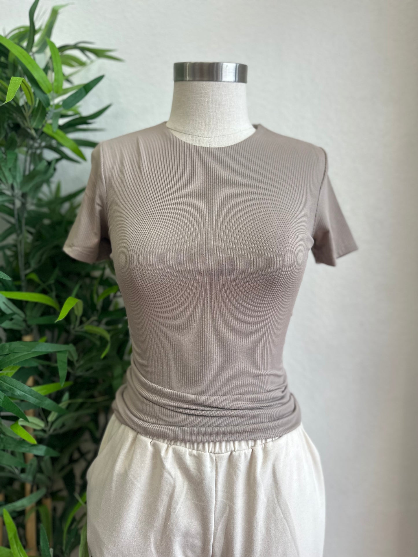 Sassy Top(4 colors)