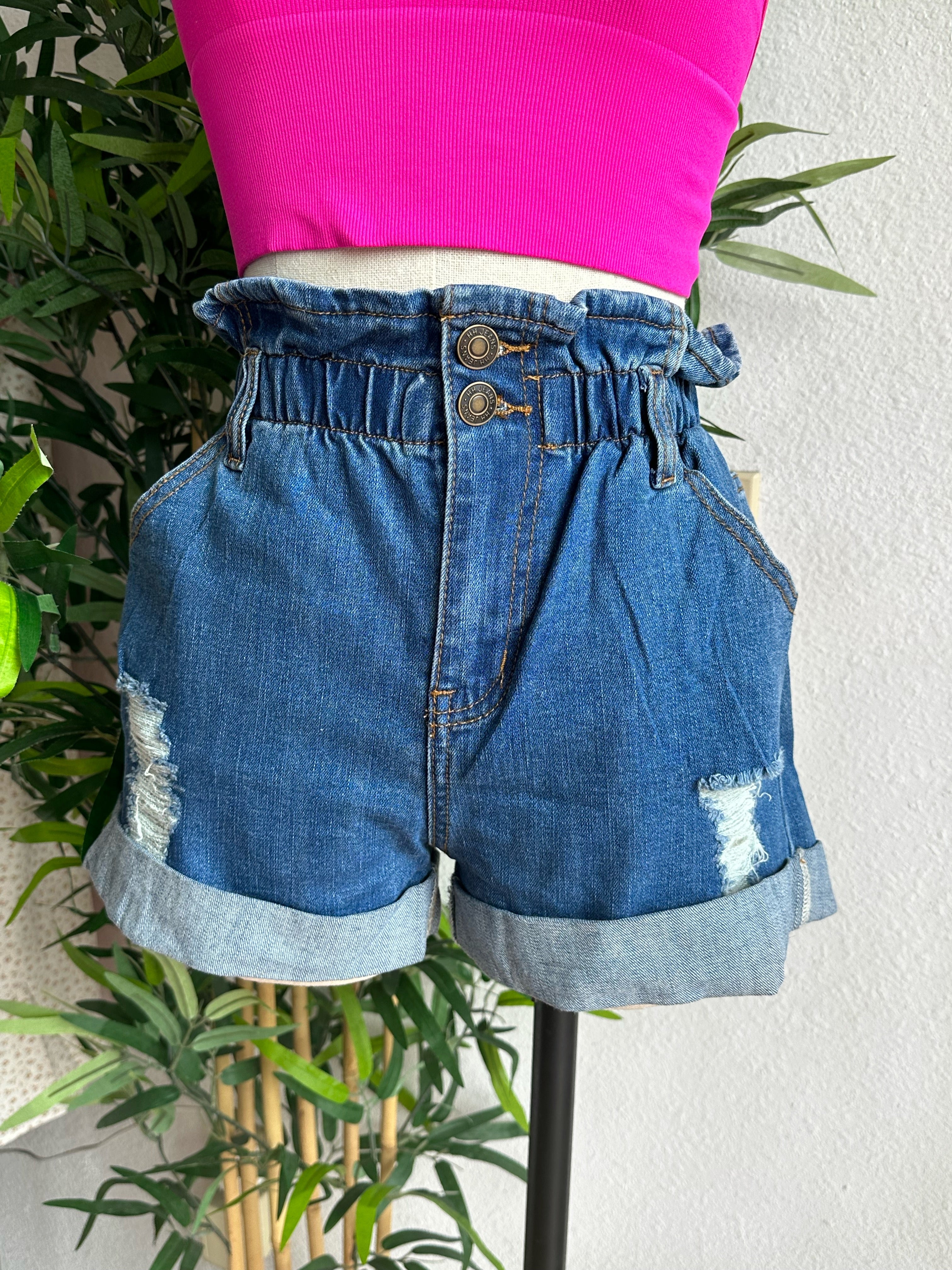 Nessa Denim Shorts
