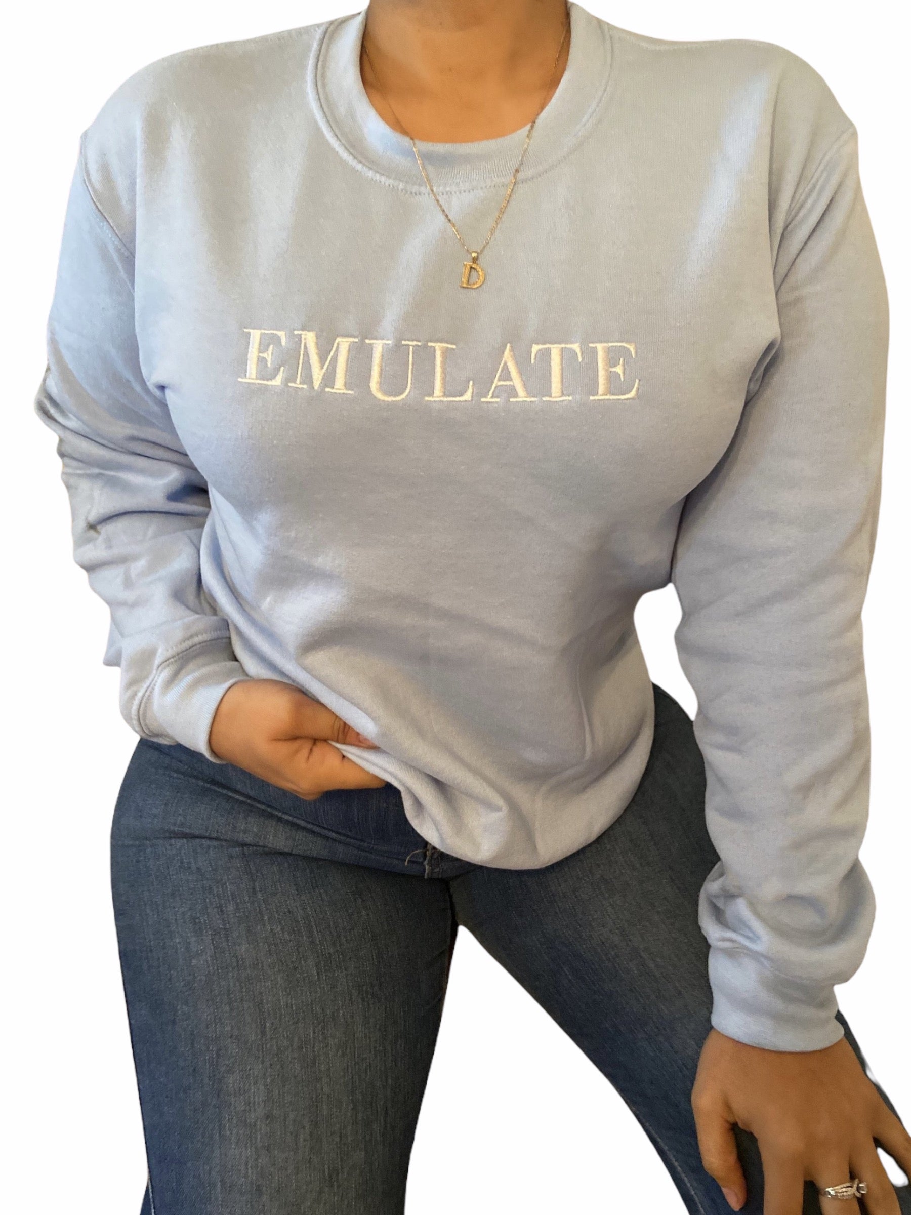 Emulate Crew neck sweater (baby blue)