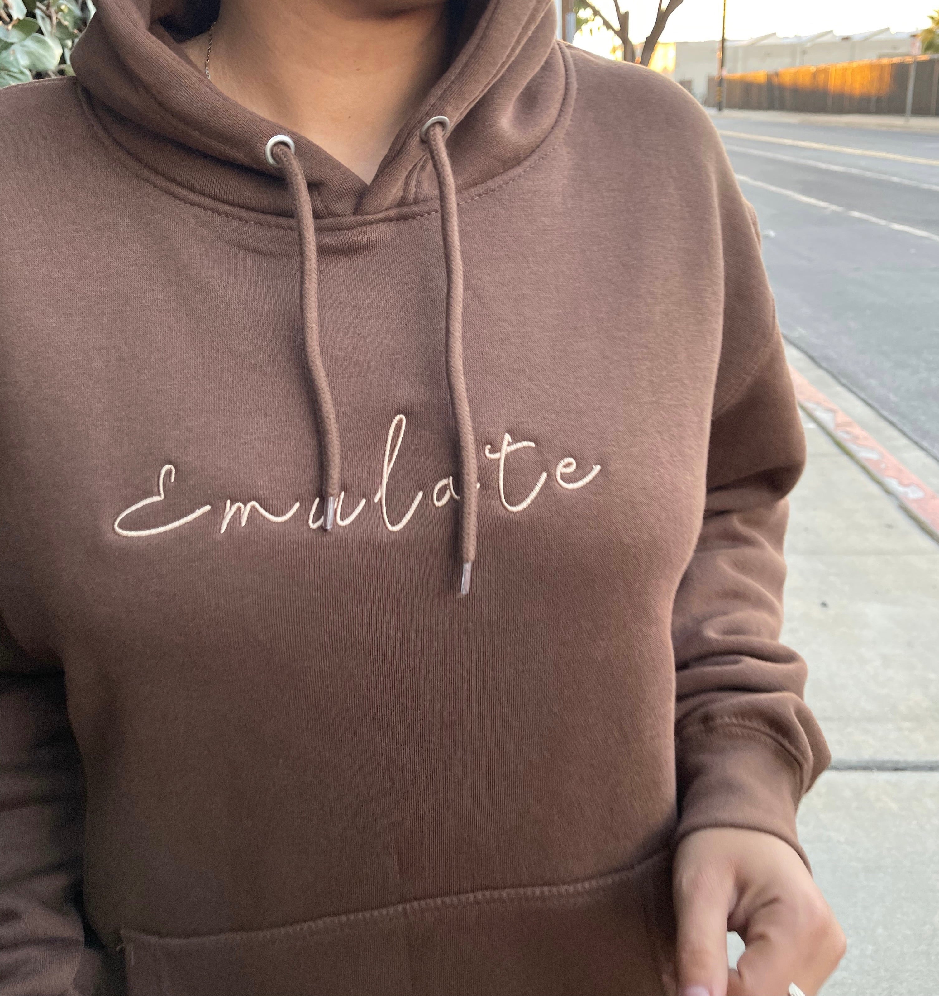 Emulate hoodie (chocolate brown)