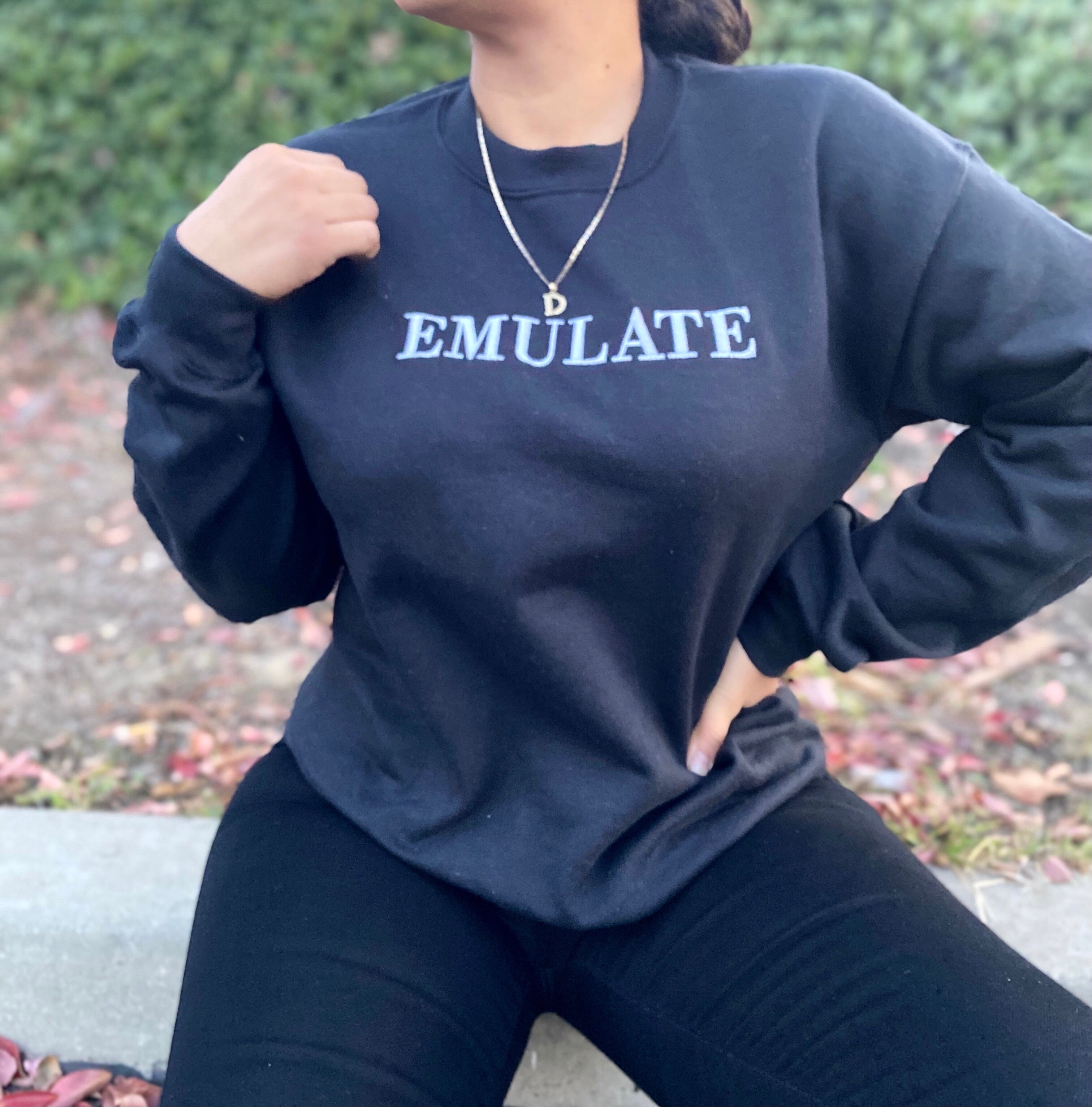 Emulate crew neck sweater (black)