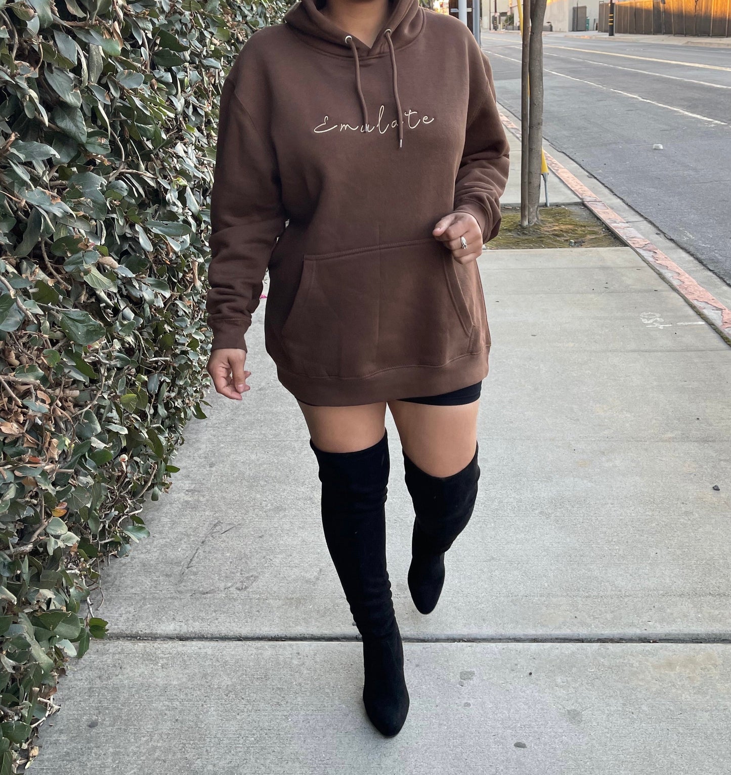 Emulate hoodie (chocolate brown)