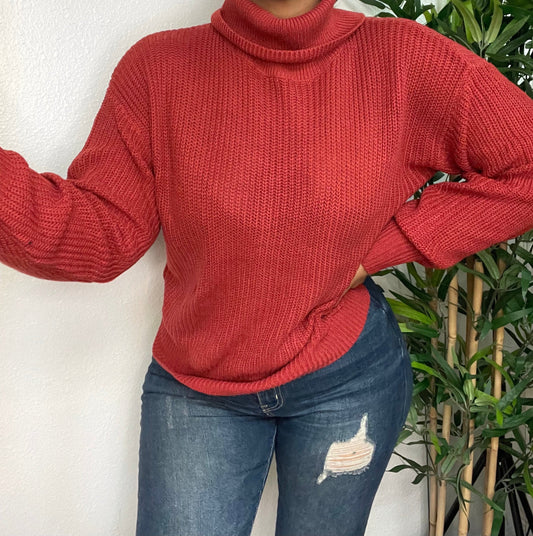 Coffee and Chill turtle neck sweater  (rust)