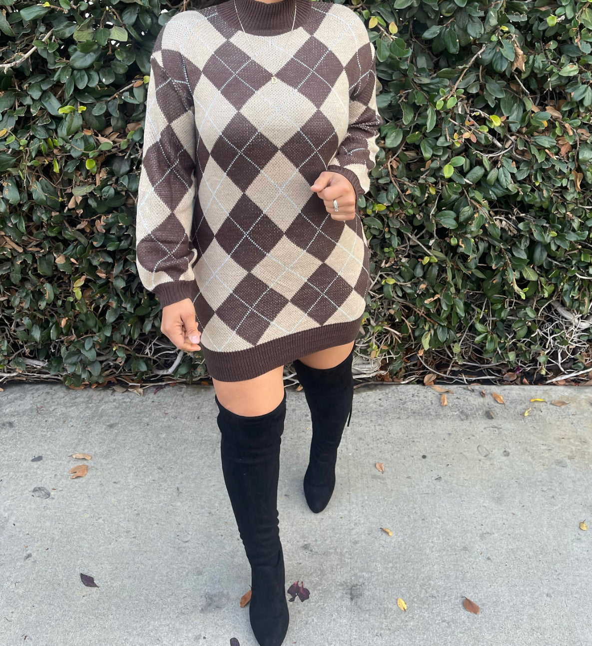 So close knit sweater dress brown(14276)